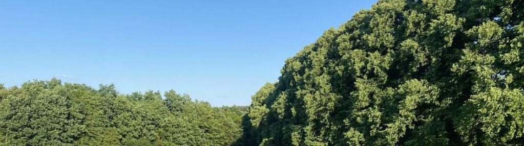 Łapino działka przy lesie nad radunią