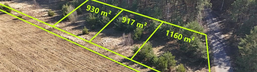 Działka przy ścianie lasu