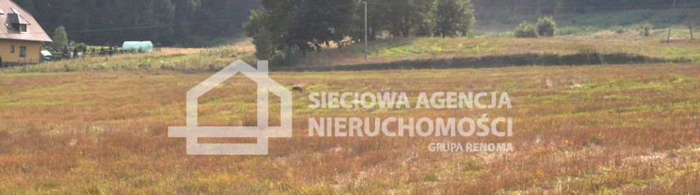 Działka w borku nad jeziorem gowidlińskim