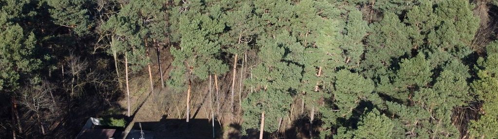 Piękna zalesiona 2500m2 w otwocku śródborowie