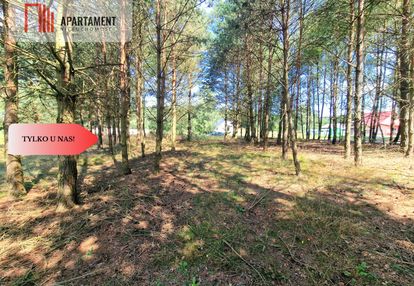 Działka budowlana w borach tucholskich!