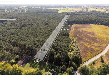 Działka leśna / natura 2000