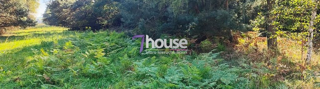 Działka inwestycyjna, parking, usługi ! 32 400m2