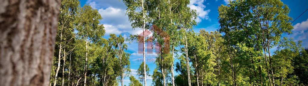 Magdalenka! działka 20 ar, w lesie, ze strumykiem