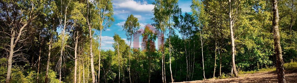 3 duze działki na wzgórzu magdalenki,otulone lasem