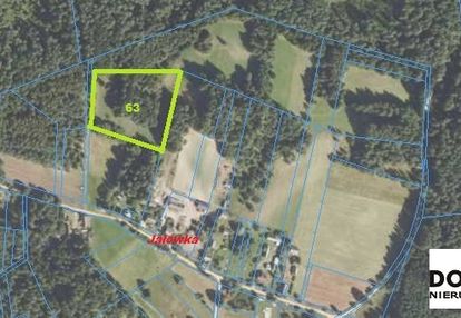 Idealna na siedlisko*w sercu puszczy knysazyńskiej