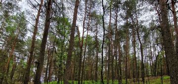 Prywatny azyl blisko warszawy – działka 900m²