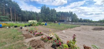 Zabudowana działka granicząca z lasem, adamów gm. bełchatów