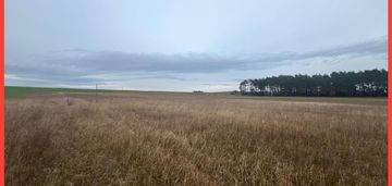 Działki z warunkami zabudowy 1075m2