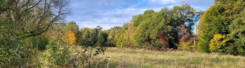 Teren usługowo-mieszkaniowy - świetna lokalizacja