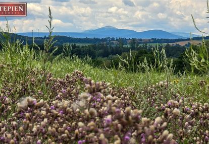 Działka z widokiem na karkonosze!