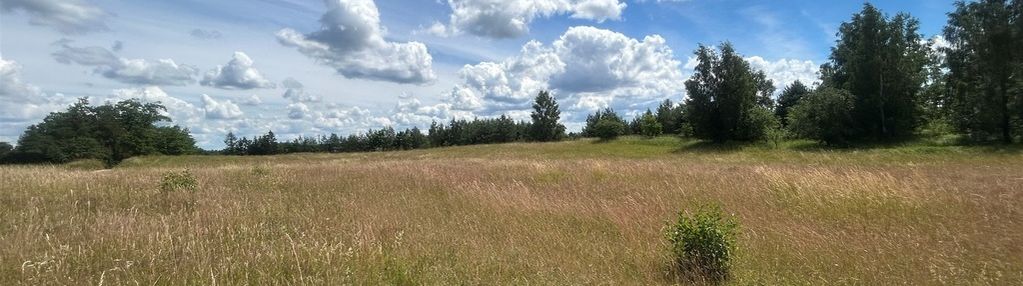 Działki nad jeziorem tyrkło swjm.