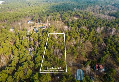 Duża działka leśna | 5 453 m² | otwock