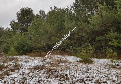 Działka 4000 m² - usługowo-budowlana mpzp!