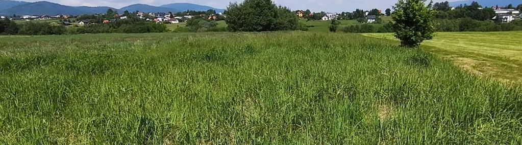 Działka mieszkaniowo - usługowa 977 m² lipowa