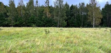 Kolonia maruny - działki do sprzedaży!