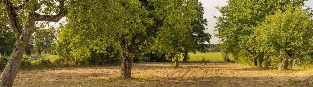 DZIAŁKA ROLNA z możliwością zabudowy zagrodowej