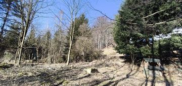 Działka w kameralnej zabudowie ze starodrzewem