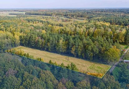 Działka budowlana 5650 m² z gotowym projektem domu