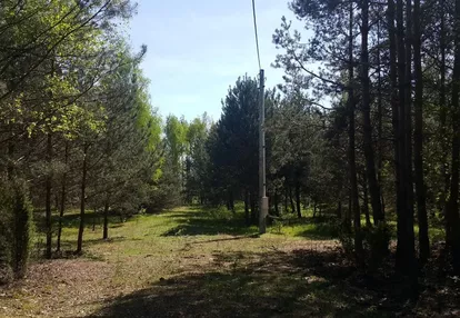 Działka na sprzedaż 1300m2