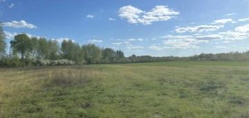 Działka wśród zieleni