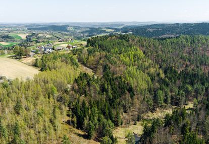 Na sprzedaż pastwisko zalesione w jastrzębi