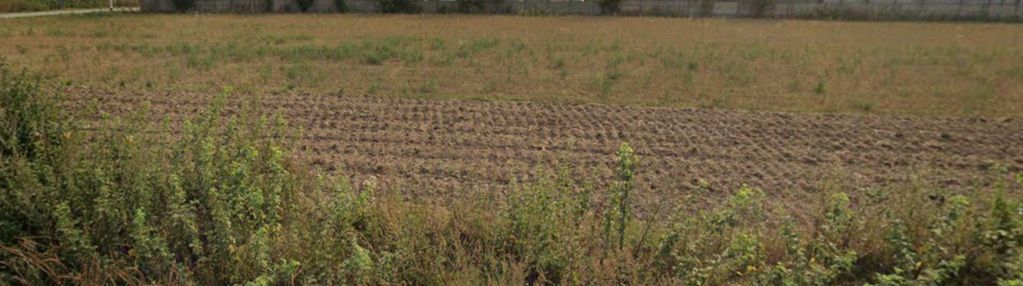 Broszków, ul. północna