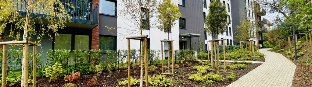 Gotowe do odbioru | nad potokiem oruńskim