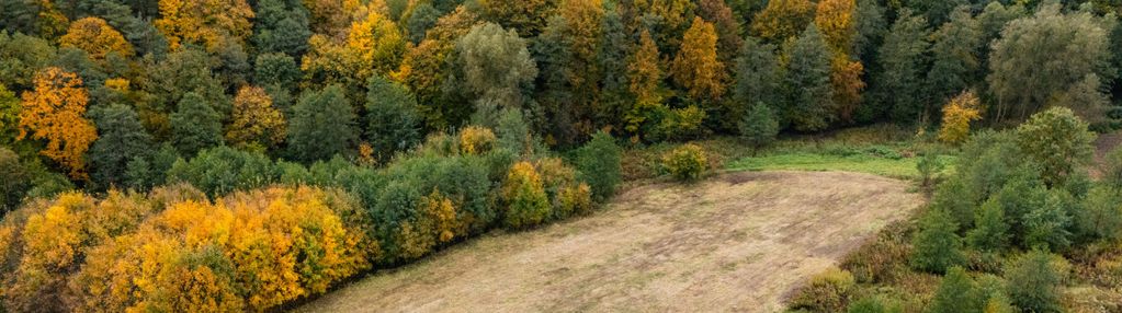 Działka 31 ar z warunkami zabudowy na 2 domy