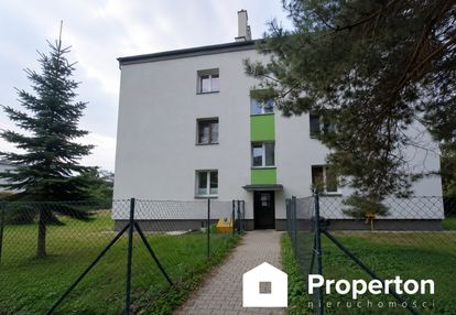2 pokoje z ogrodem, garażem i piwnicą na parterze,