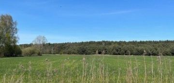 Atrakcyjna działka przy ścianie lasu