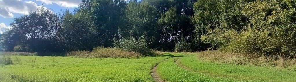 Malownicza działka budowlana przy sobieszewie