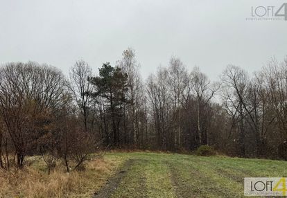 Budżetowa propozycja i/ lub ciekawa inwestycja.