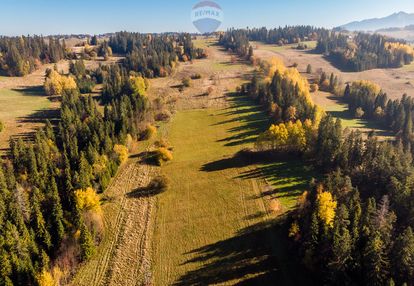 Działka w białym dunajcu gile