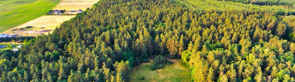 Budowlana działka, blisko miłomłyna i ostródy