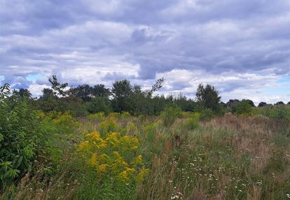 Działka na sprzedaż w ługach ujskich, gmina ujście