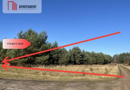 Działka pod lasem w spokojnej okolicy