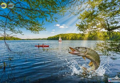 Działka z linią brzegową jeziora raduńskiego