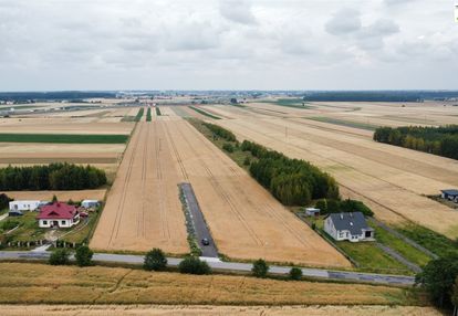 Działka bujny