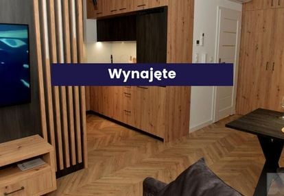 Przytule mieszkanie do wynajęcia /sunpark/