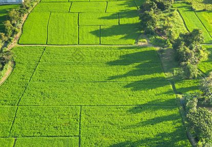 1 ha | las | wz na rezydencję | ursynów