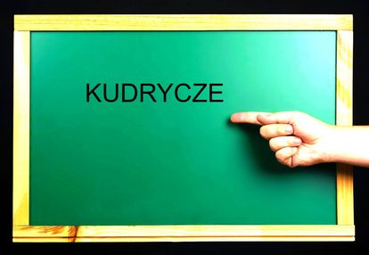 Działka kudrycze