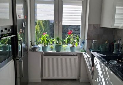Zadbany bliźniak
