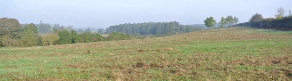 Działka inwestycyjna gmina sobków