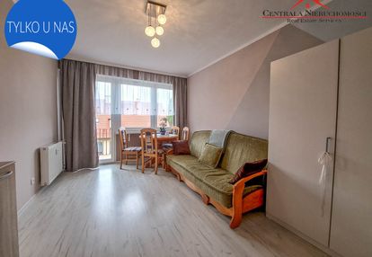 3 pokoje na wynajem, gagarina rektorat umk