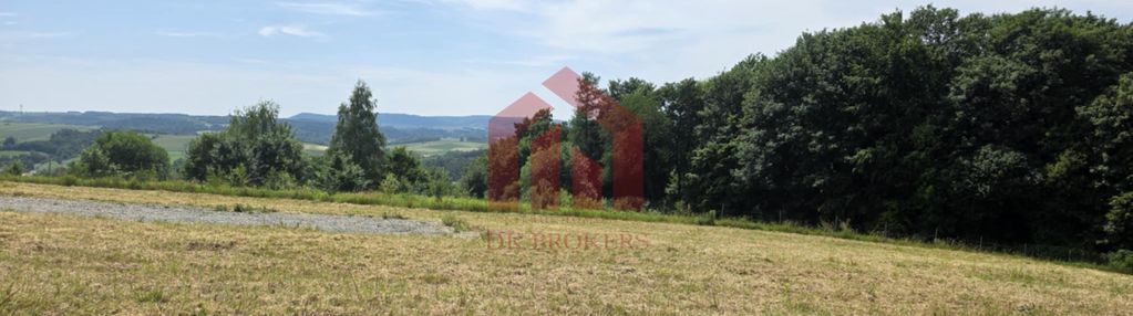 Ostatnia w kompleksie, wz, media, widok, las