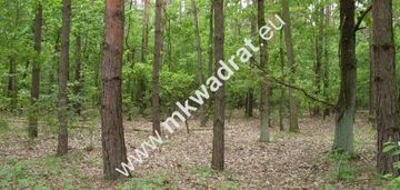⭐⭐⭐⭐wyjątkowa piękna działka leśna z pr. zabud⭐⭐⭐⭐