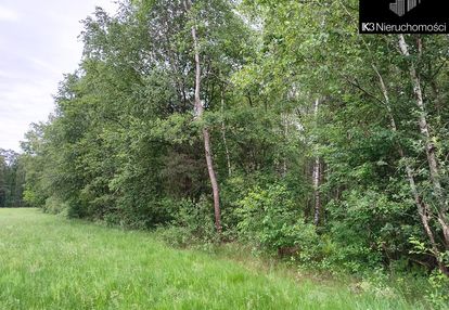 Działka leśna, 6500m2