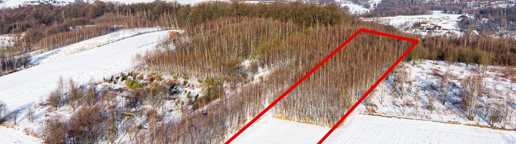 Działka leśna grabno - gm. wojnicz!