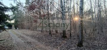 Piekna działka w ojrzanowie, z drzewami